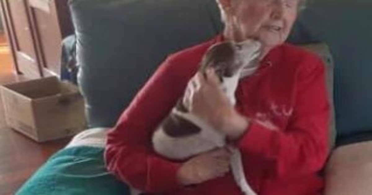 Le chien d’une femme de 85 ans décède, mais personne ne la laissera adopter un nouveau chien