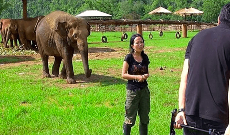 Un éléphant débarque lors d’un entretien pour “sauver” son gardien des enquêteurs