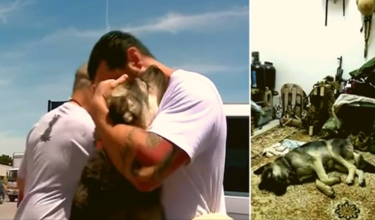Un soldat dévoué adopte un chien qui lui a permis de traverser la guerre en Irak