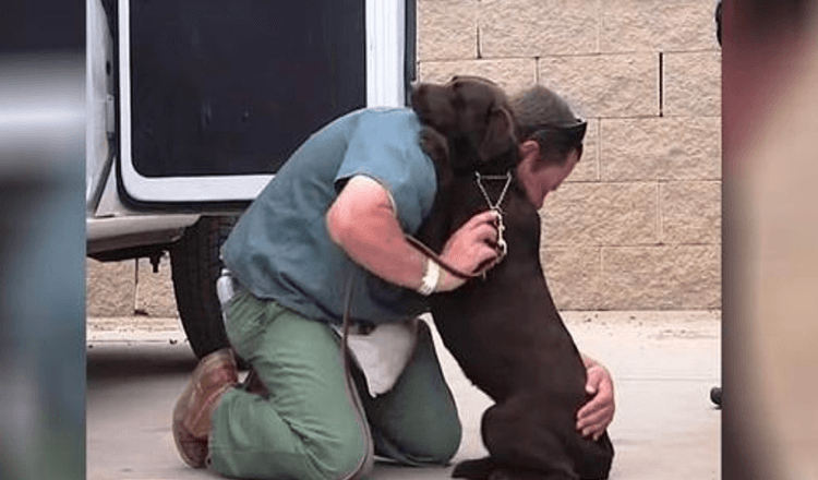 Une chienne a été emmenée pour être euthanasiée, mais une détenue l’a serrée dans ses bras
