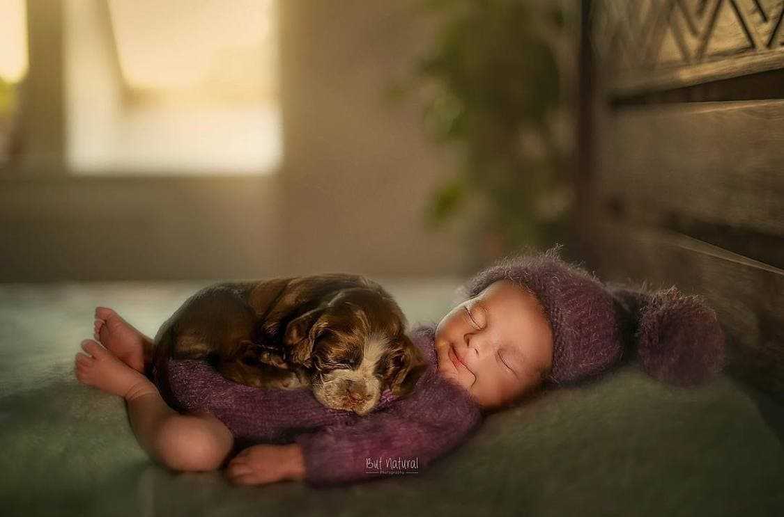 Un photographe photographie des nouveau-nés se blottissant contre des animaux, et les photos sont plus qu’adorables
