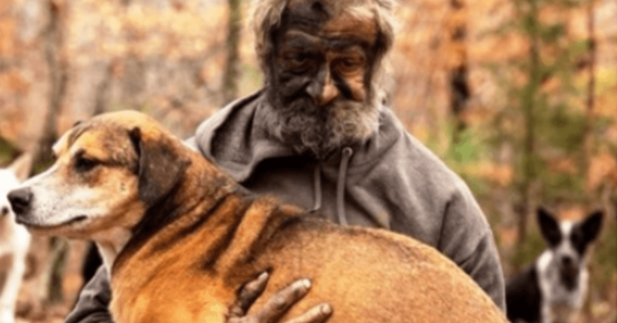 Un sans-abri regarde les larmes aux yeux alors que les autorités lui enlèvent ses 31 chiens